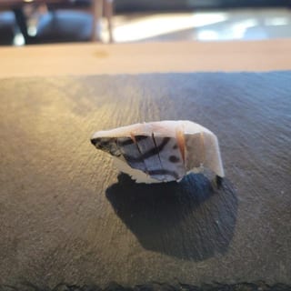 NI9- MACKEREL (SHIME SABA)